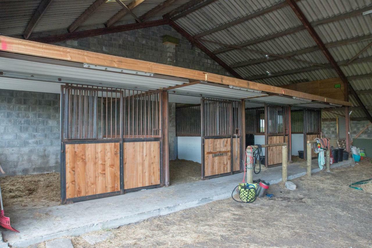 Boeren Biezen Bed Landelijk Villa Exterior photo